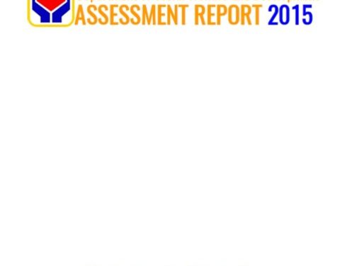 CY 2015 DSWD Overall Assessment Report