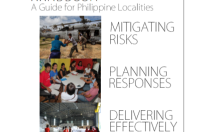 Social Protection Handbook for Local Chief Executives