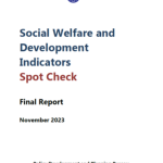 SWDI Spot Check Final Report 2023