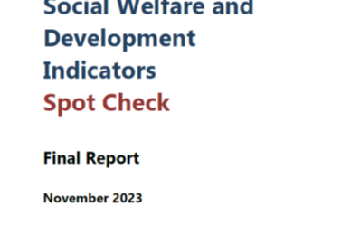 SWDI Spot Check Final Report 2023