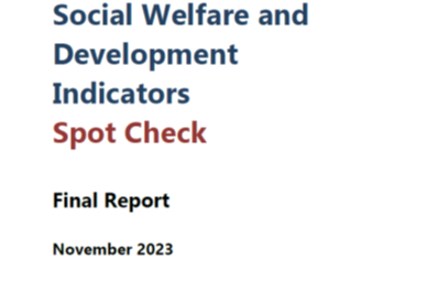 SWDI Spot Check Final Report 2023