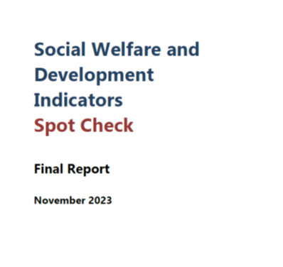 SWDI Spot Check Final Report 2023